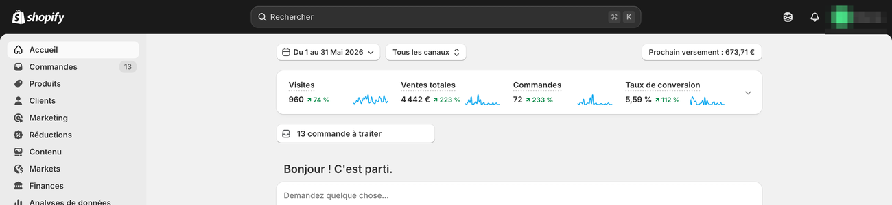 Tableau de bord Shopify — résultats d'une boutique accompagnée (anonymisé)